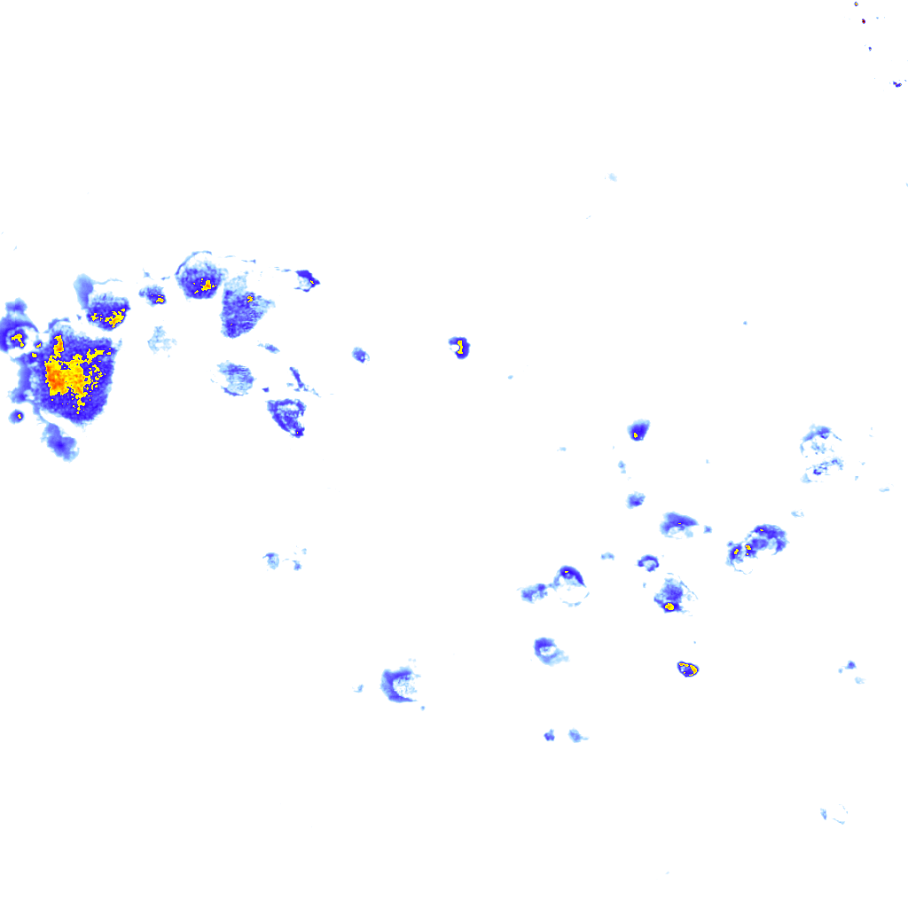 rainLayer