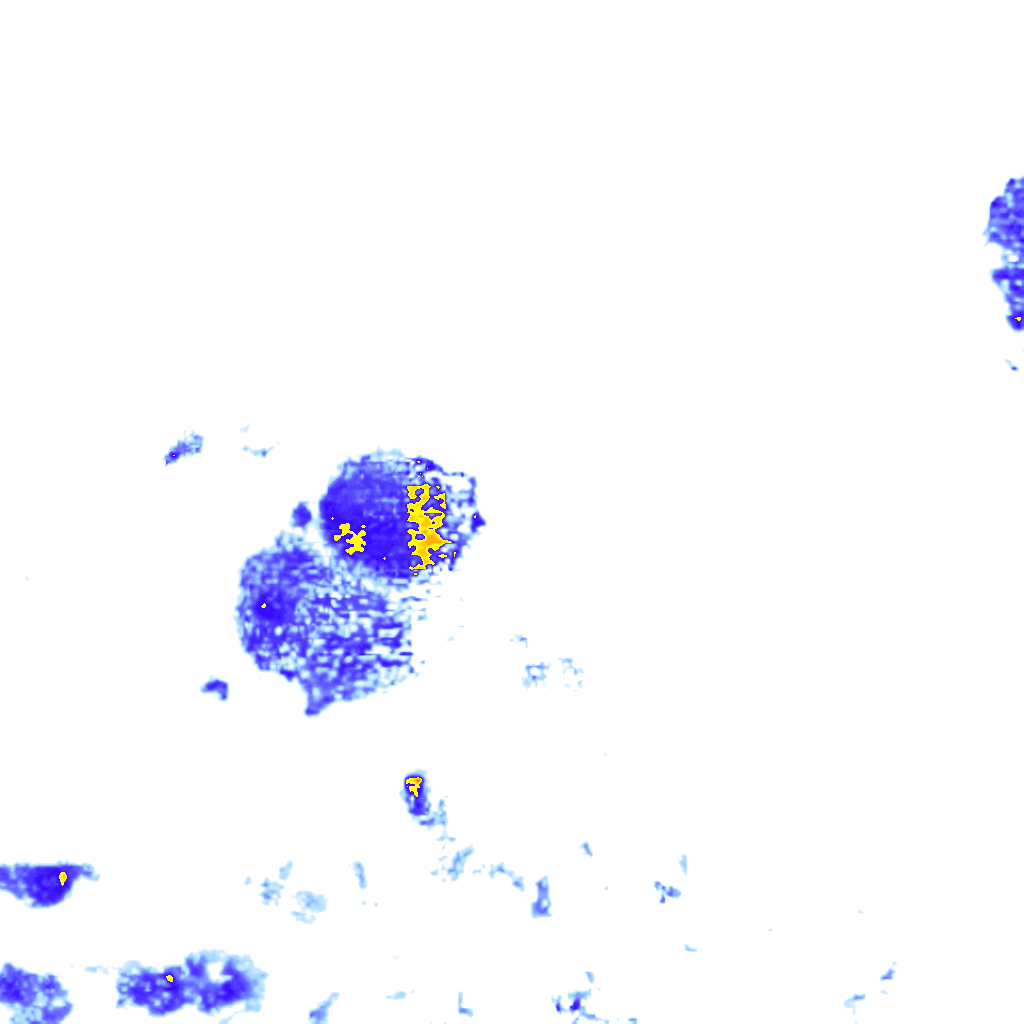 rainLayer