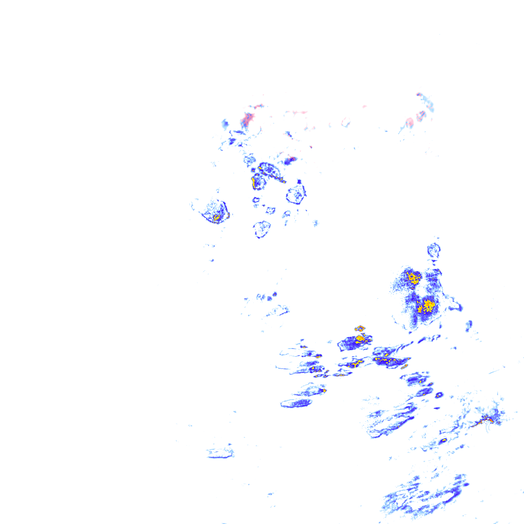rainLayer