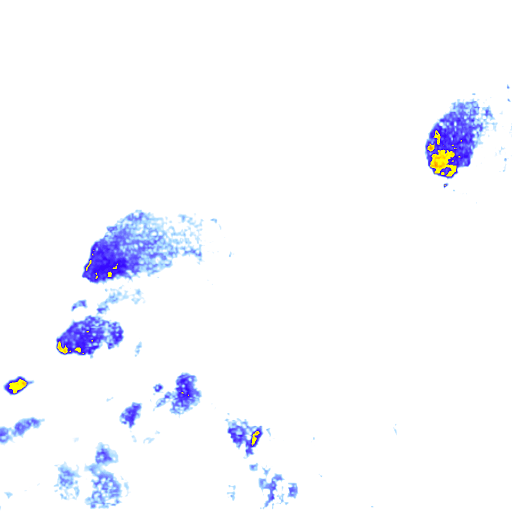 rainLayer