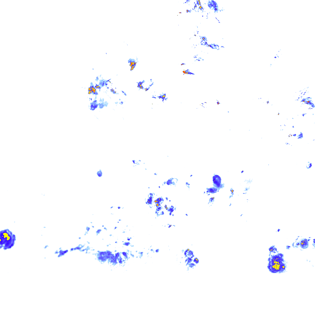 rainLayer