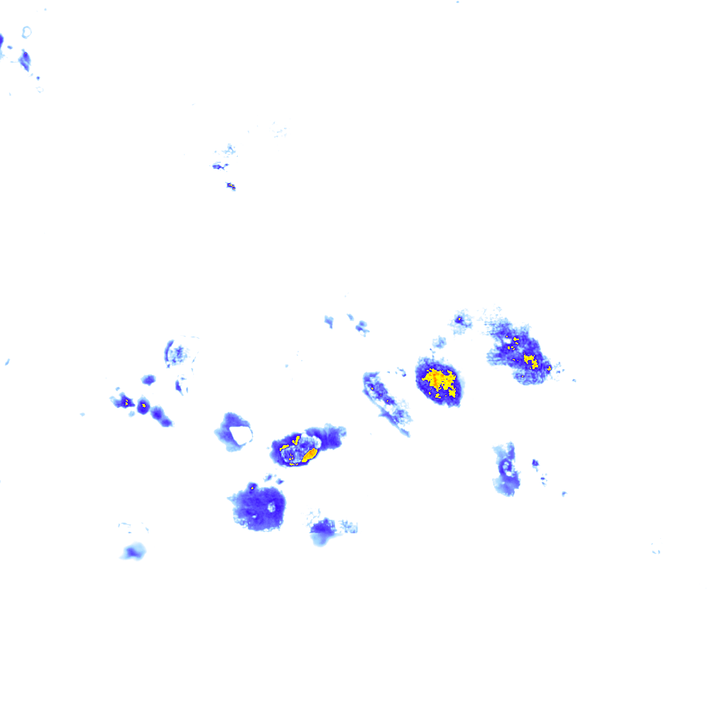 rainLayer