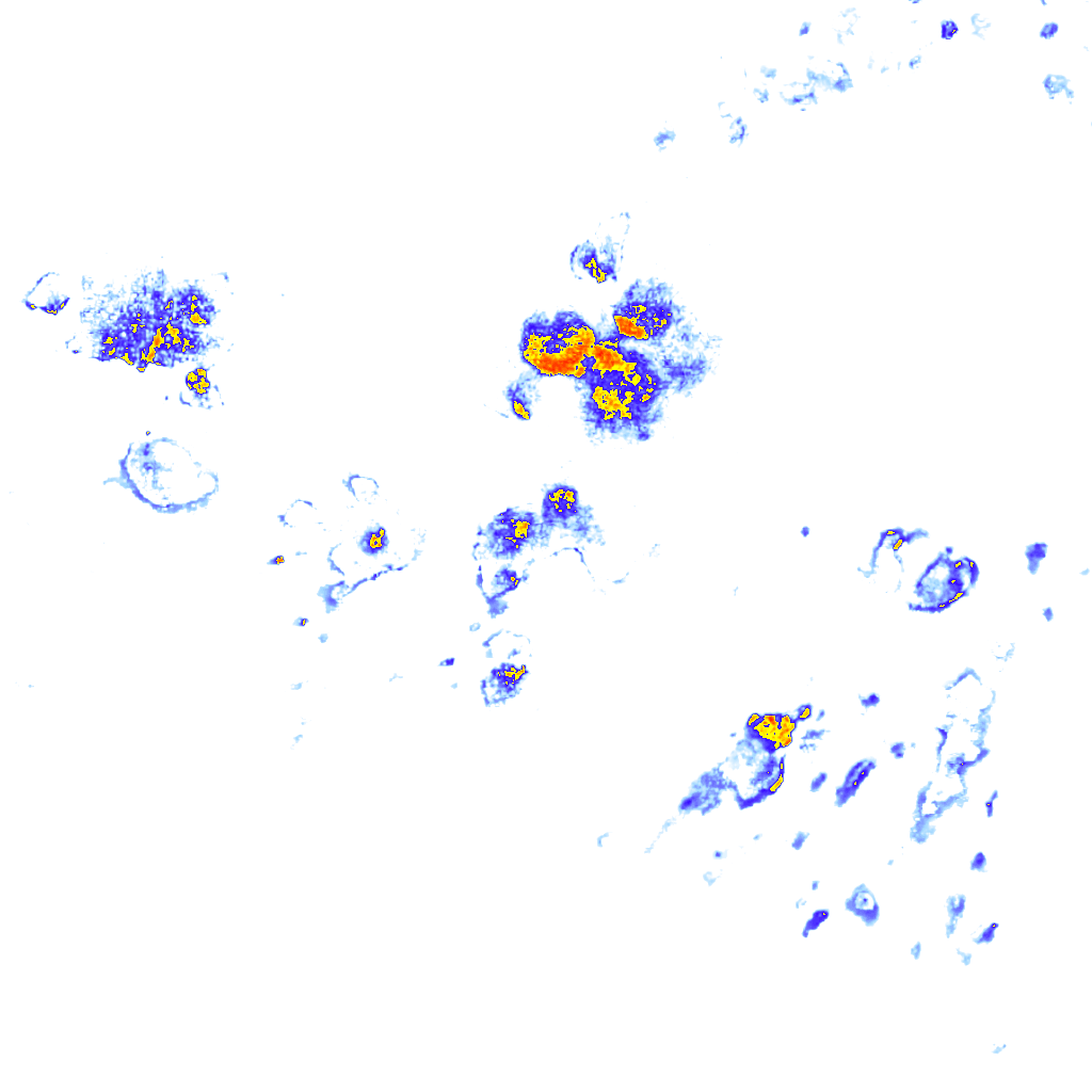 rainLayer