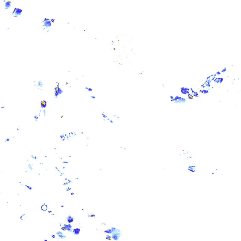Image Layer