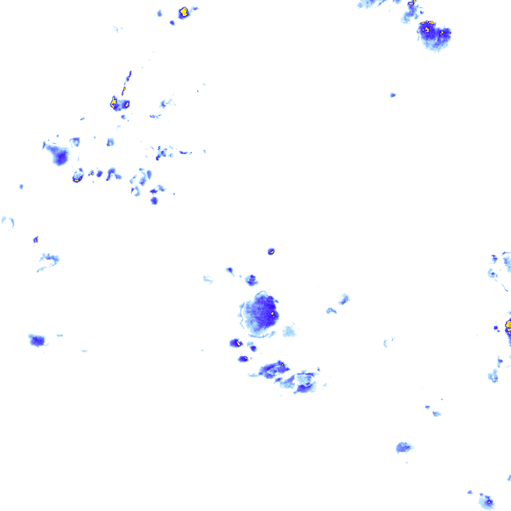 rainLayer