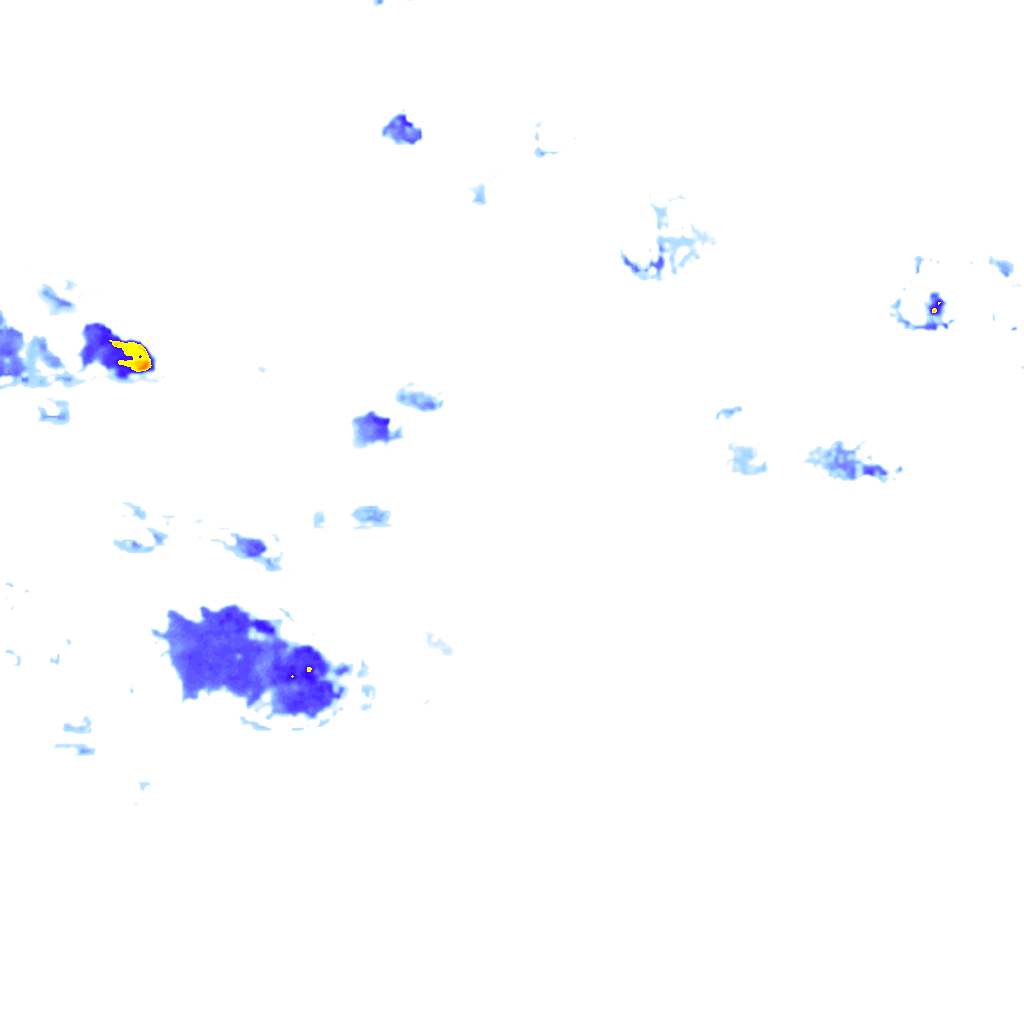 rainLayer