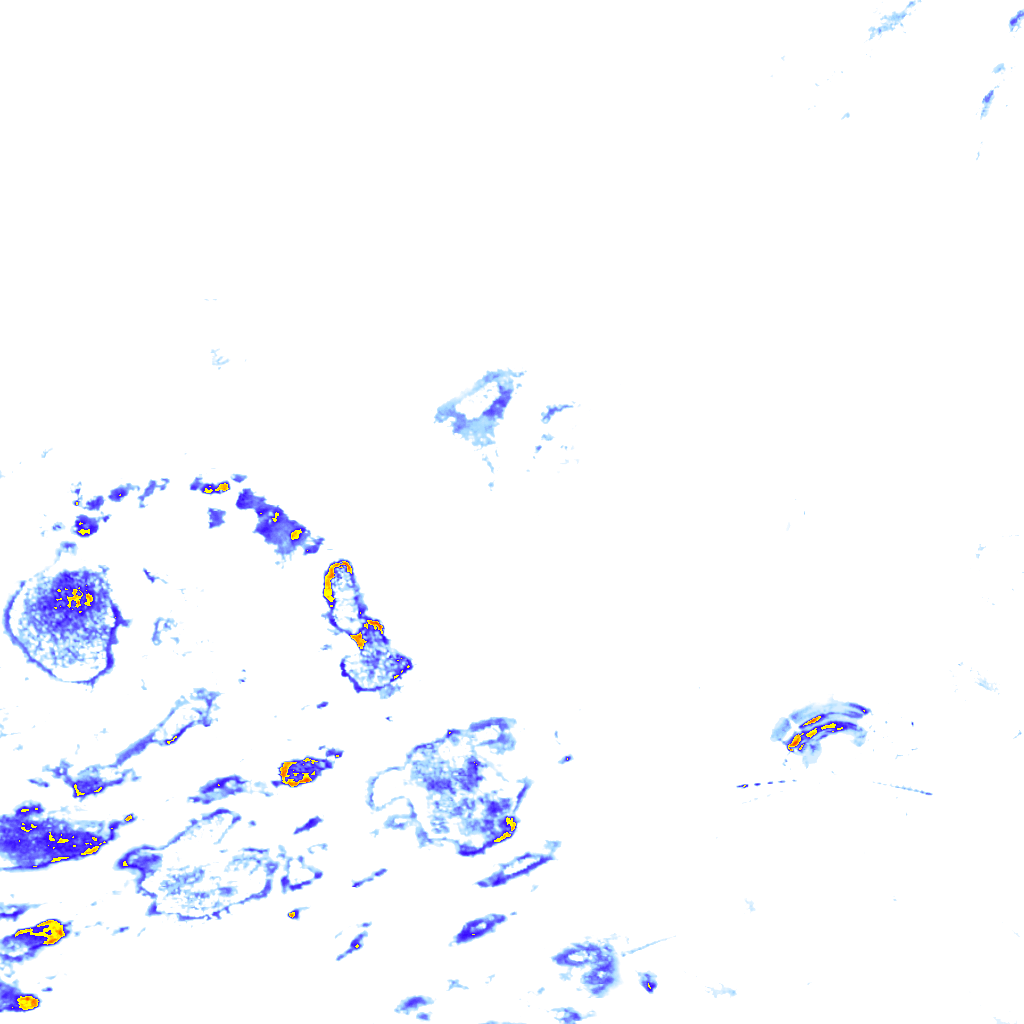 rainLayer