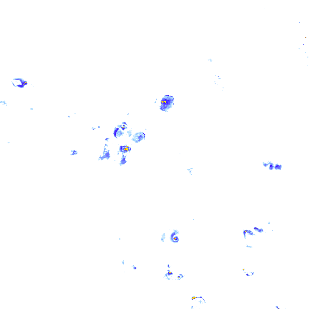 rainLayer