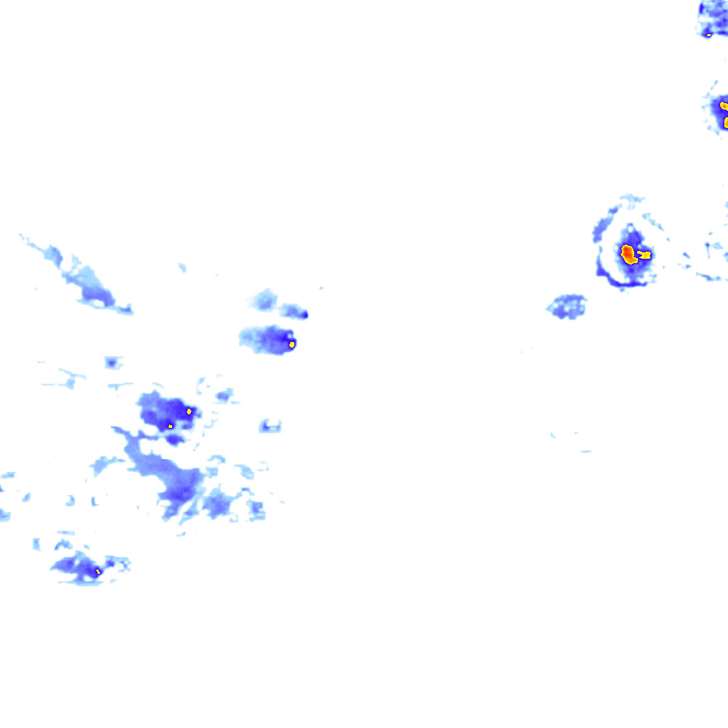rainLayer