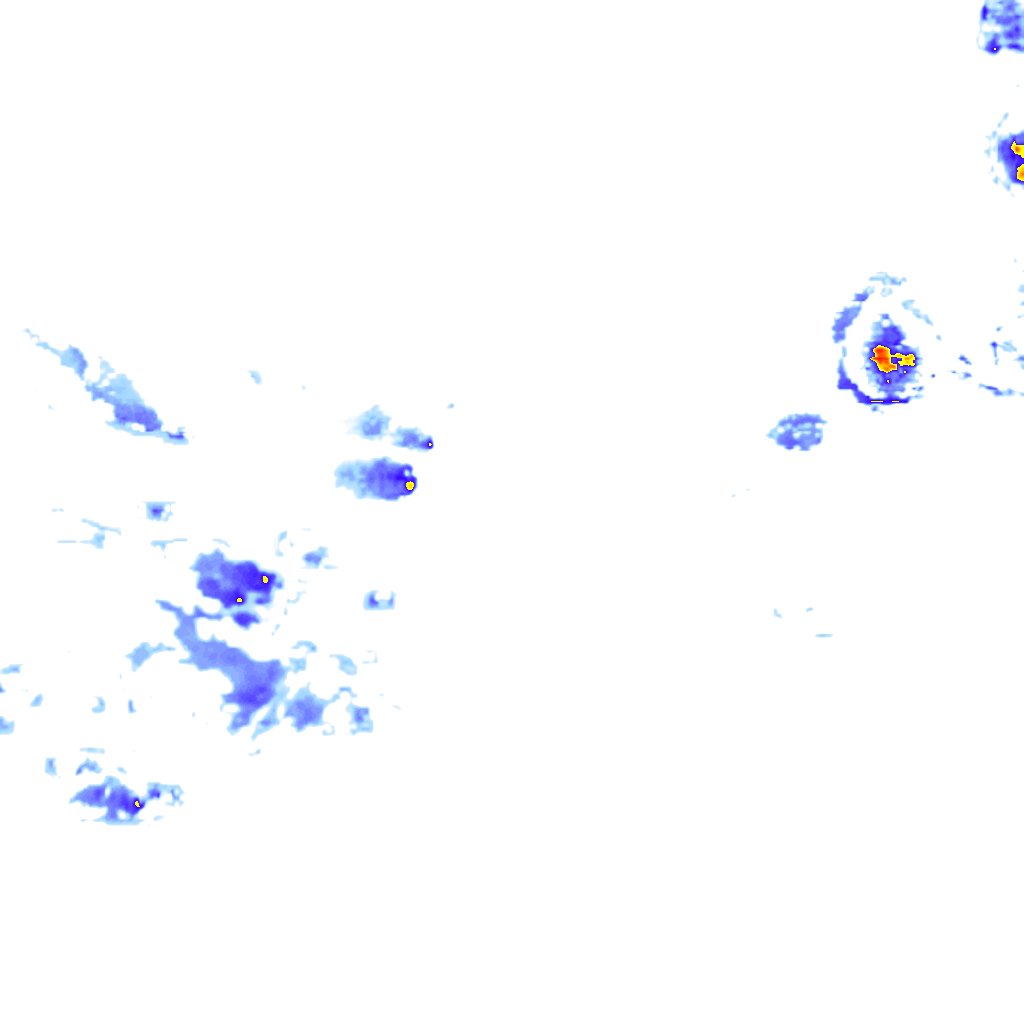 rainLayer