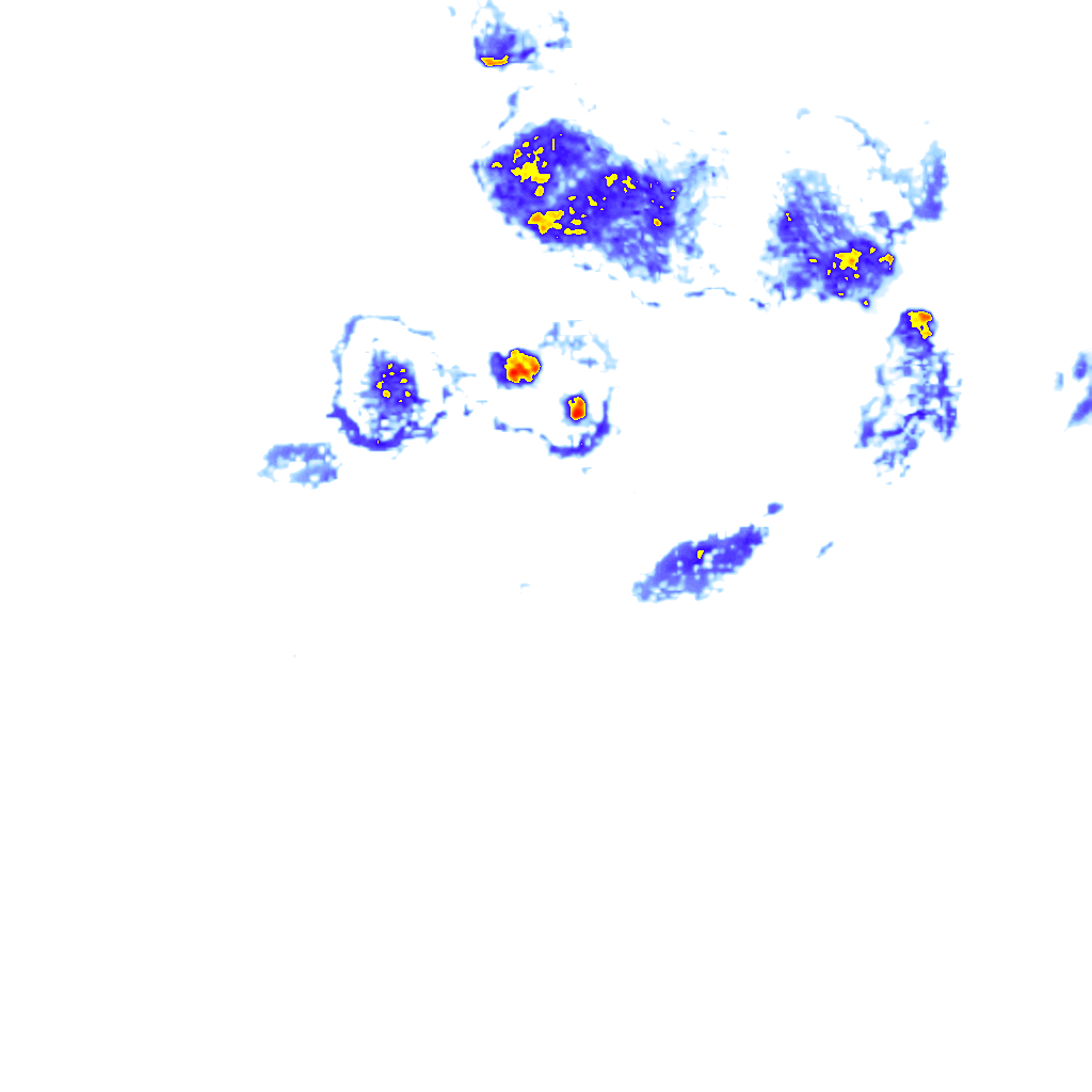 rainLayer