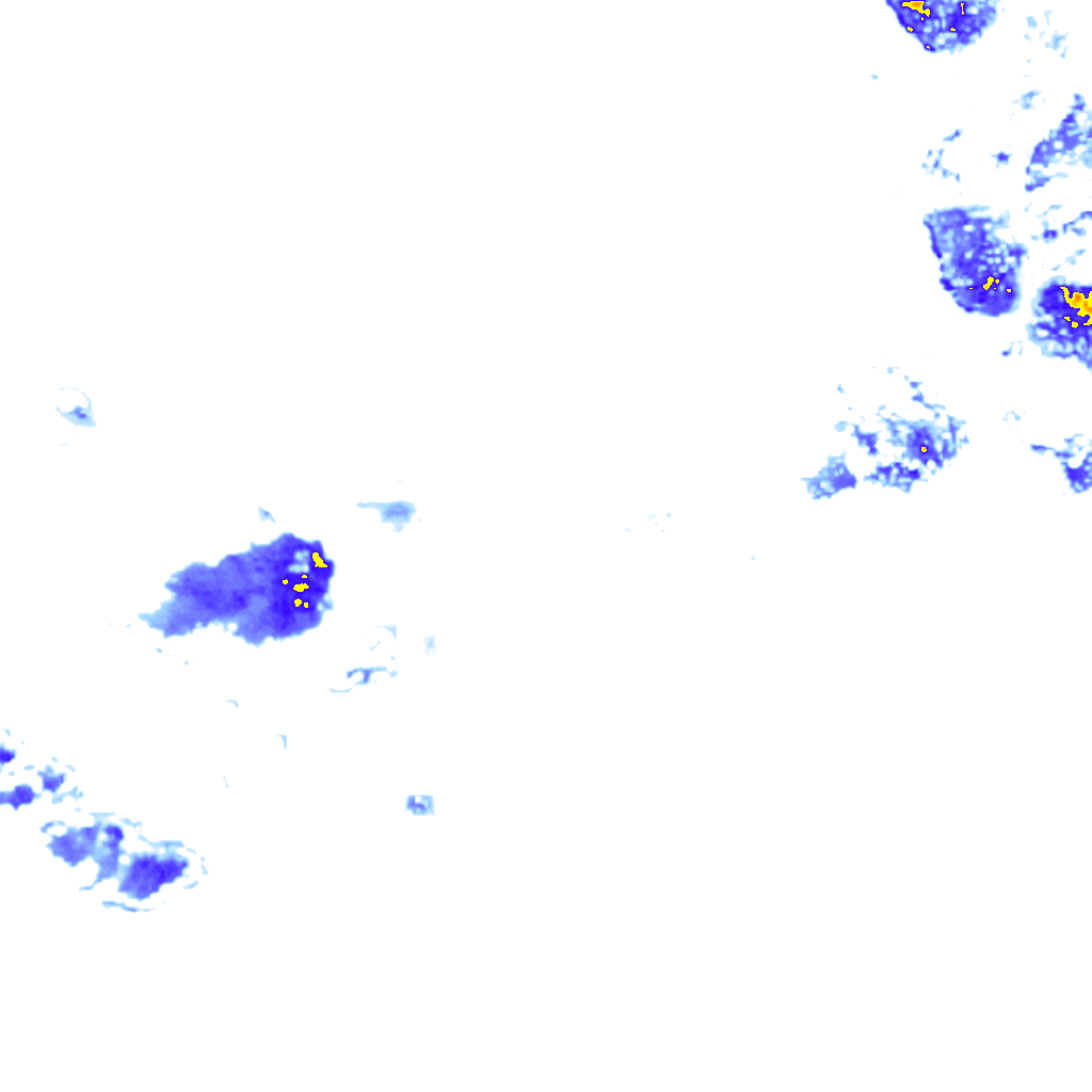 rainLayer
