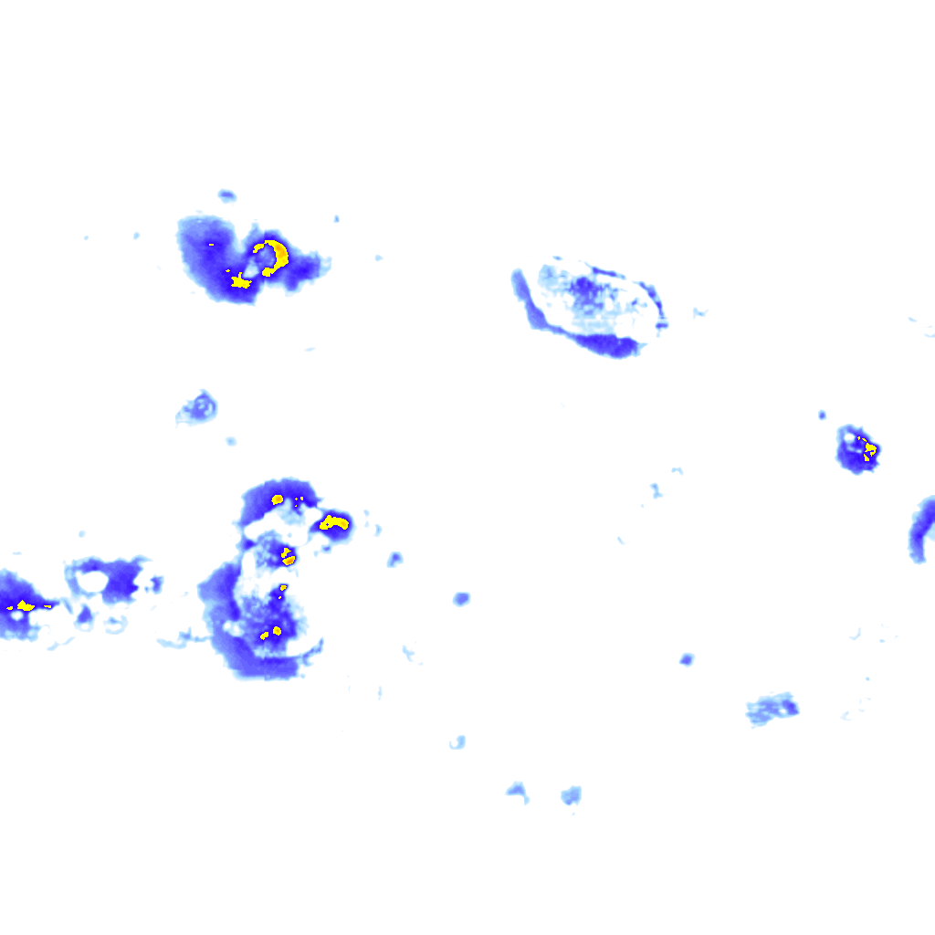 Image Layer