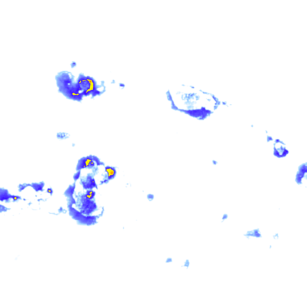 Image Layer