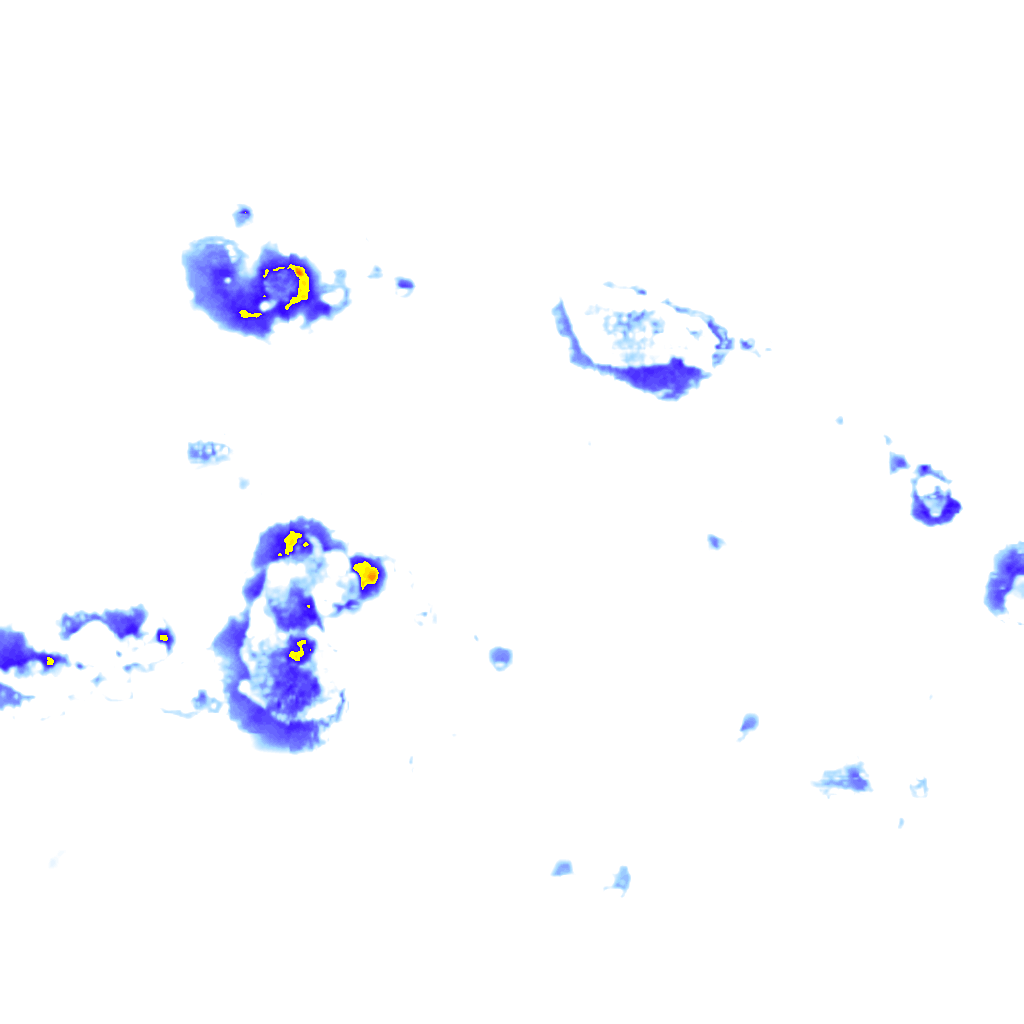 rainLayer