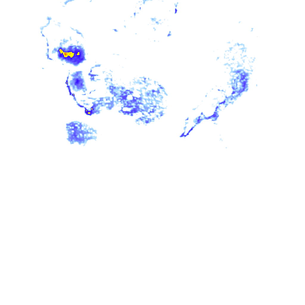 rainLayer