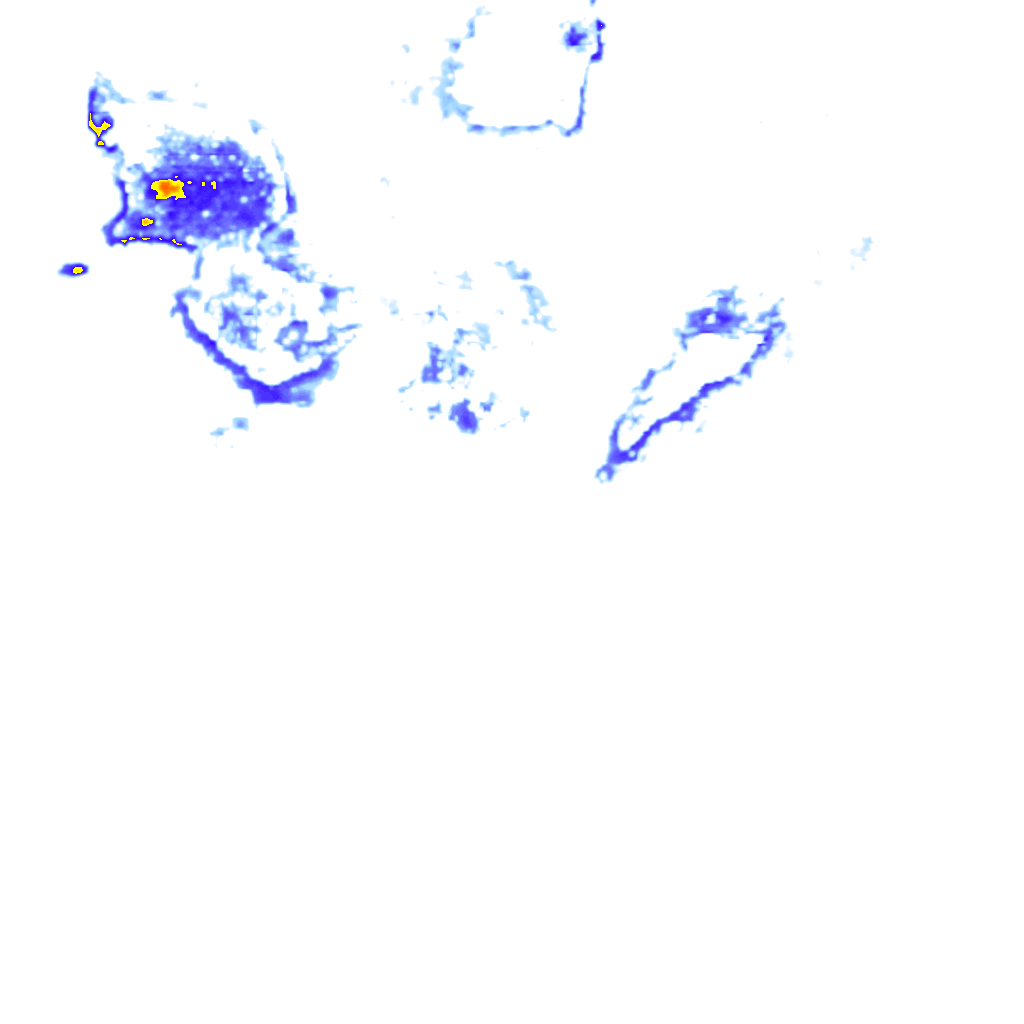 rainLayer