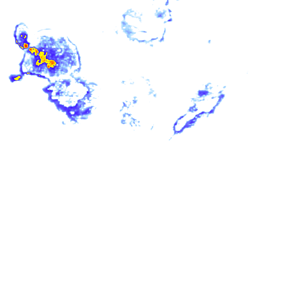 rainLayer
