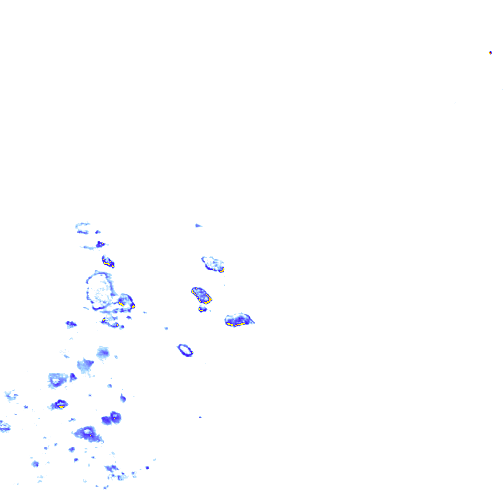 rainLayer