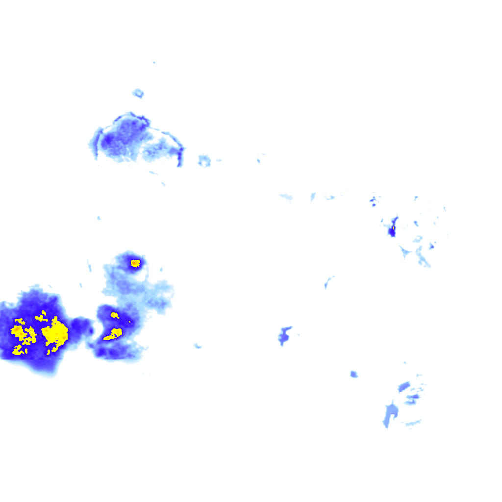 rainLayer
