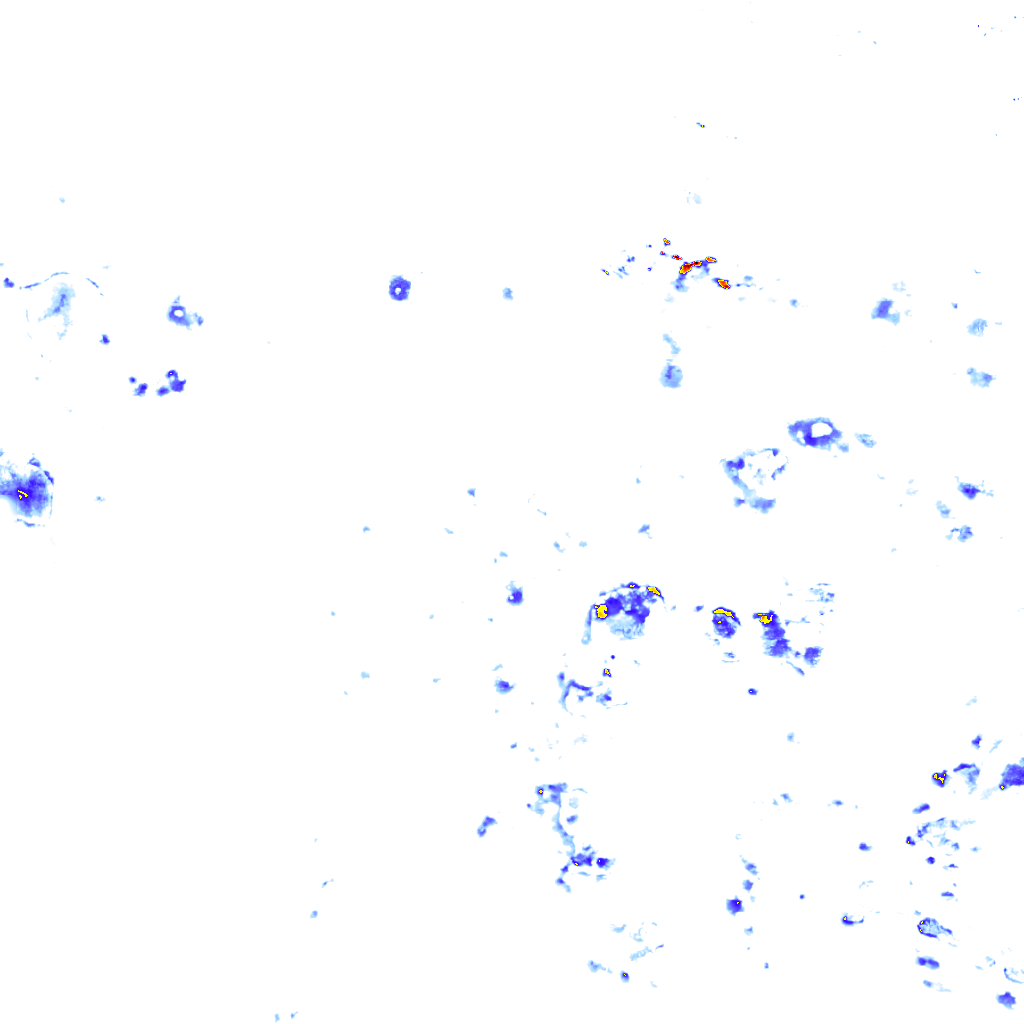rainLayer