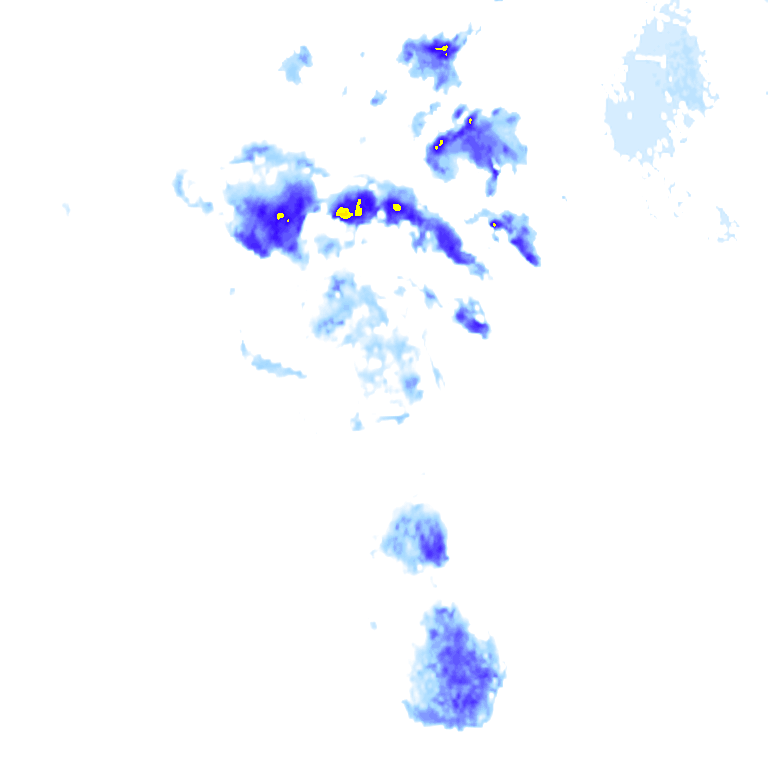 rainLayer