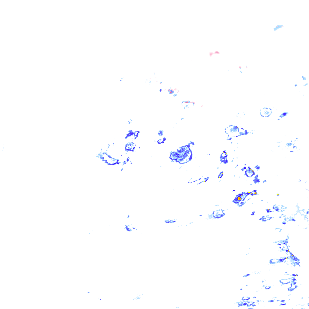 rainLayer