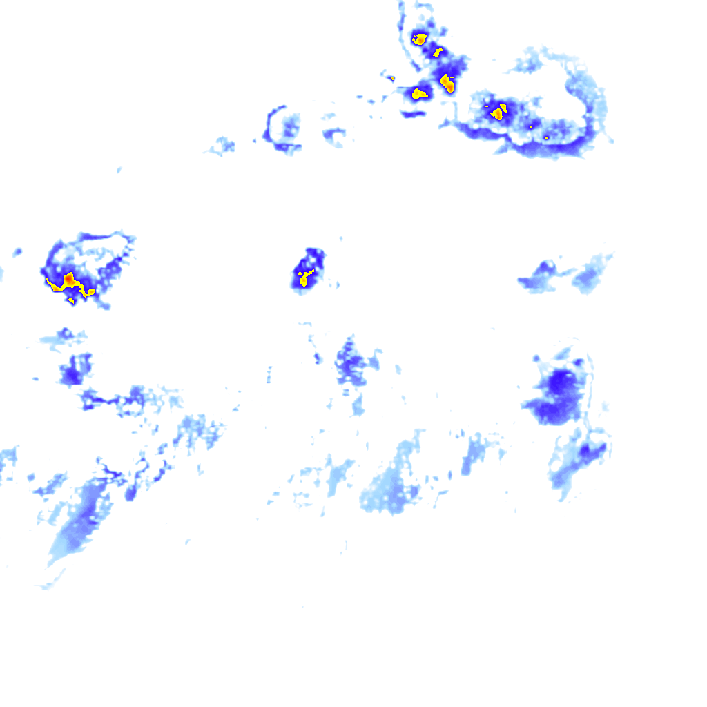 rainLayer