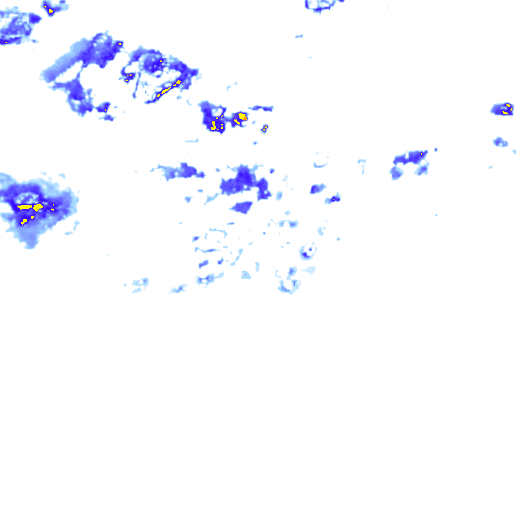 rainLayer