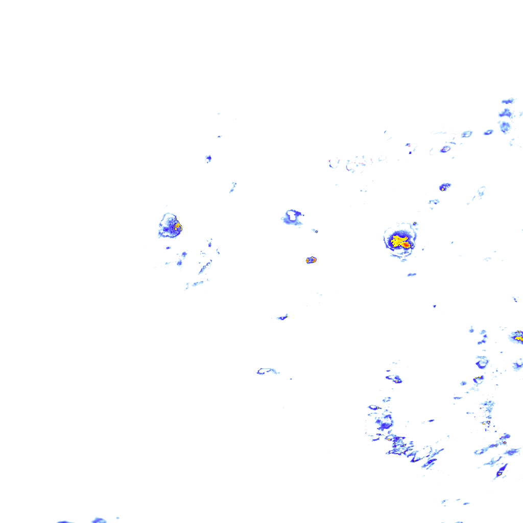rainLayer