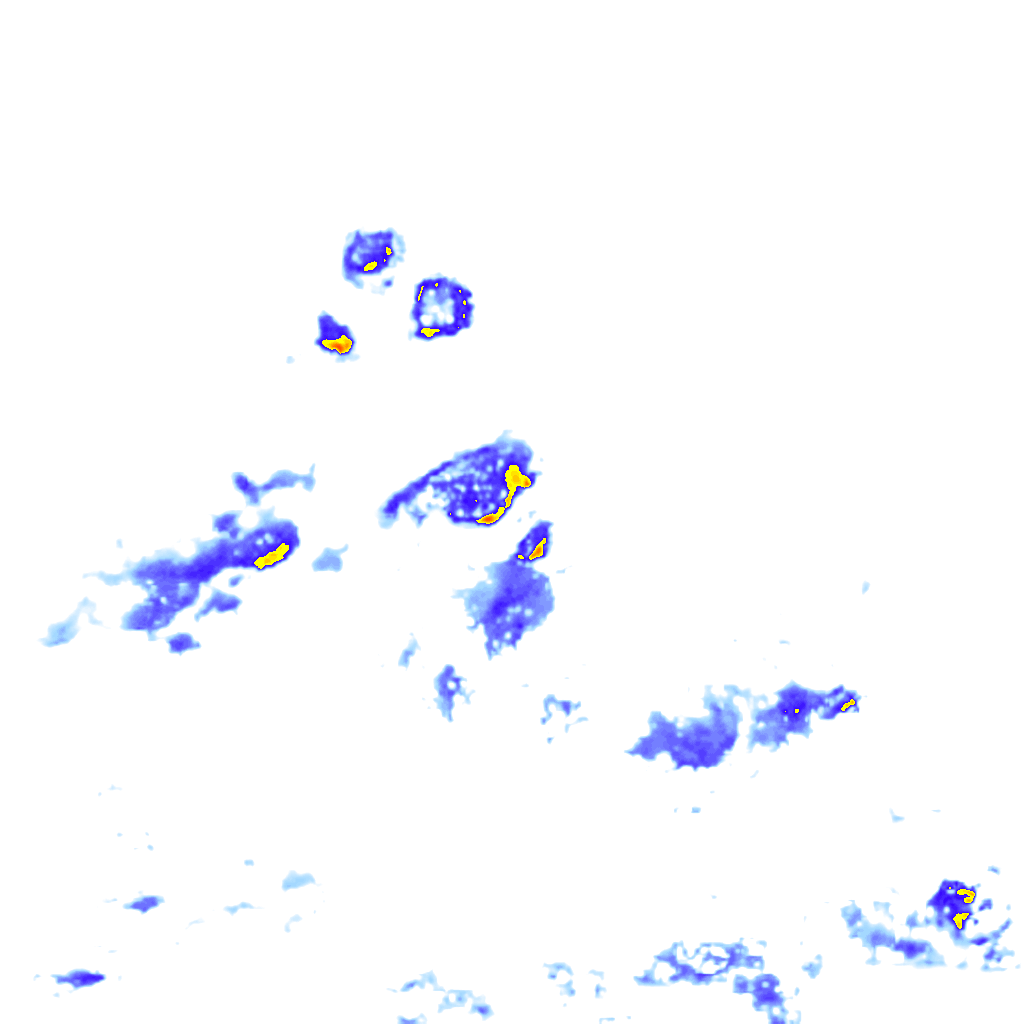 Image Layer