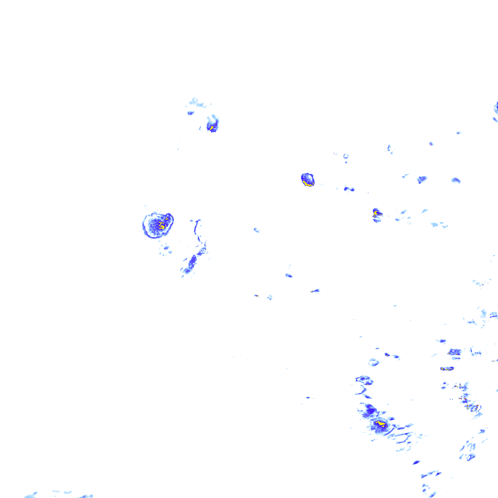 rainLayer
