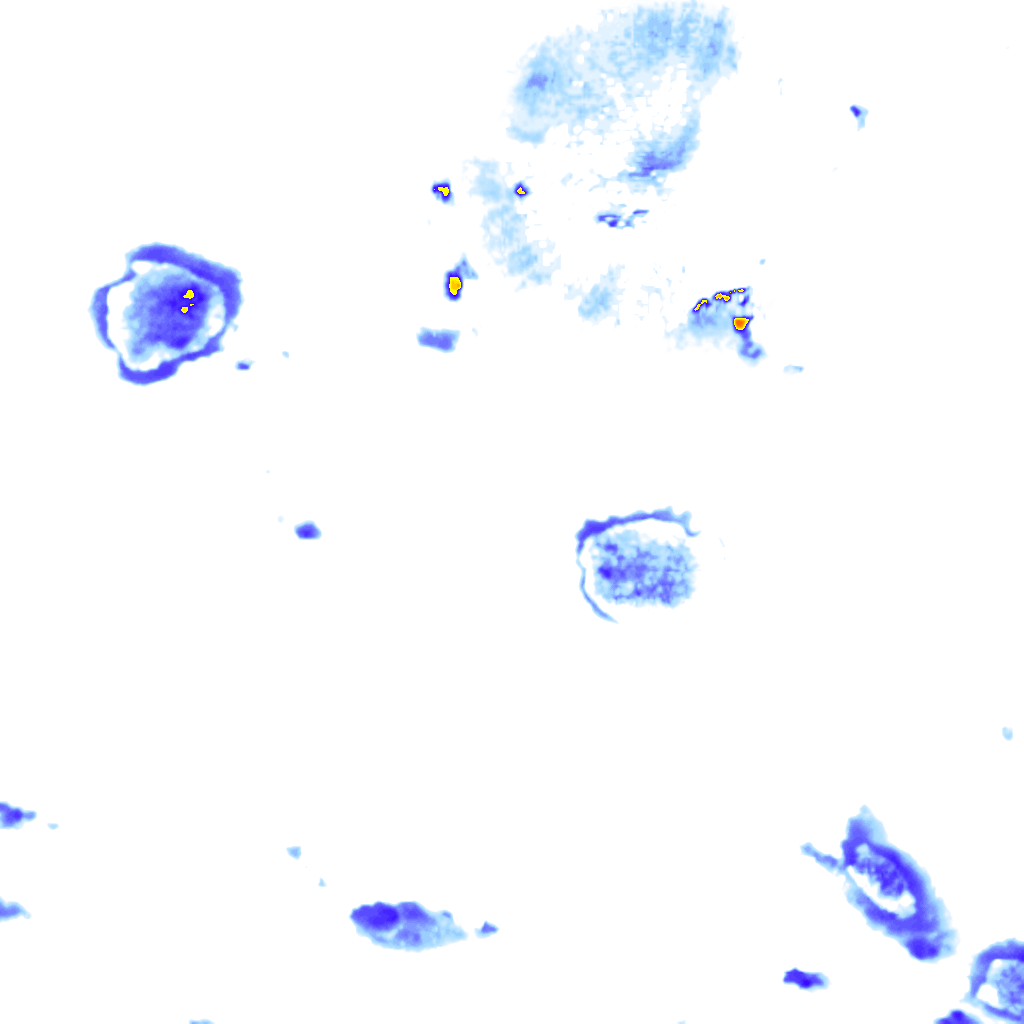 Image Layer
