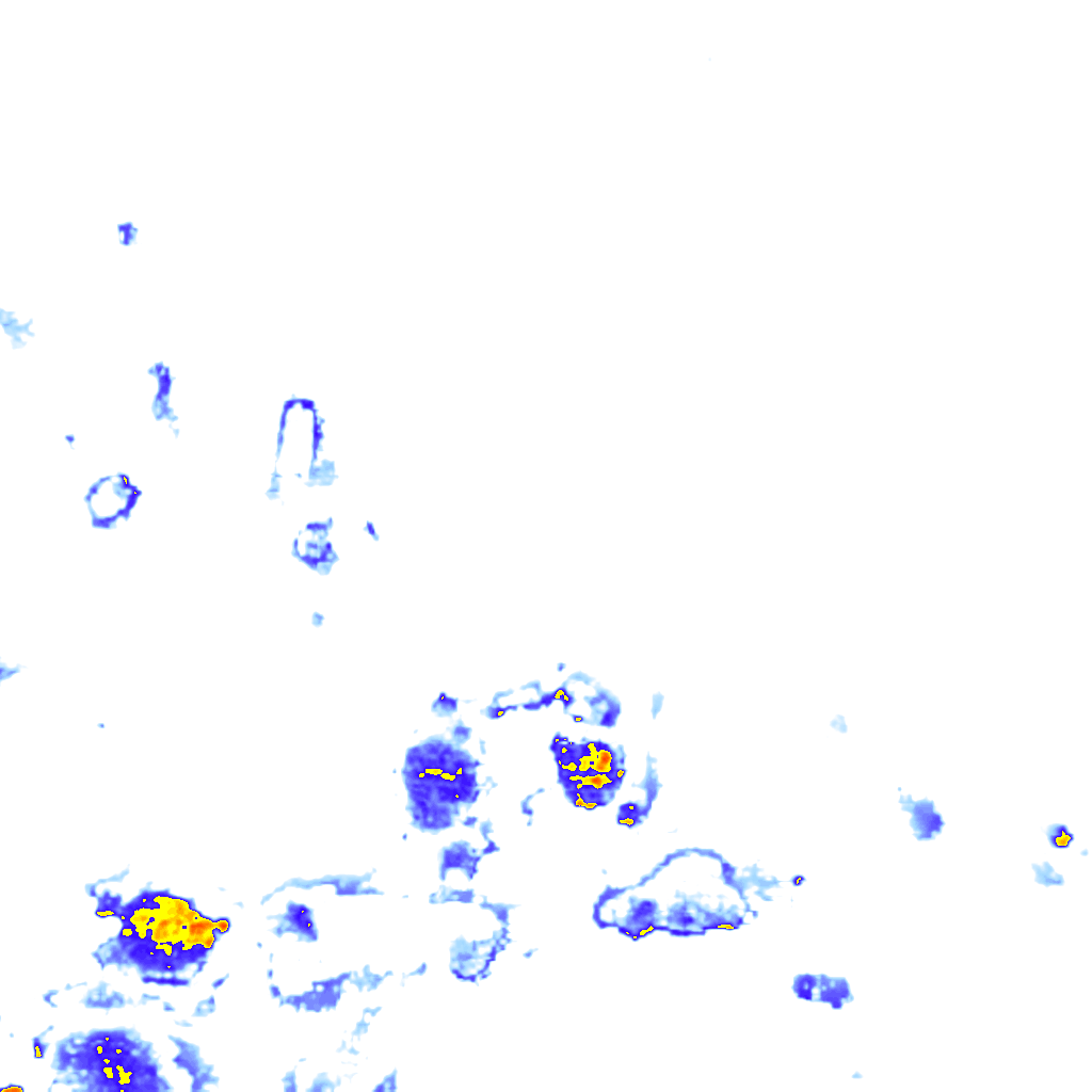 Image Layer