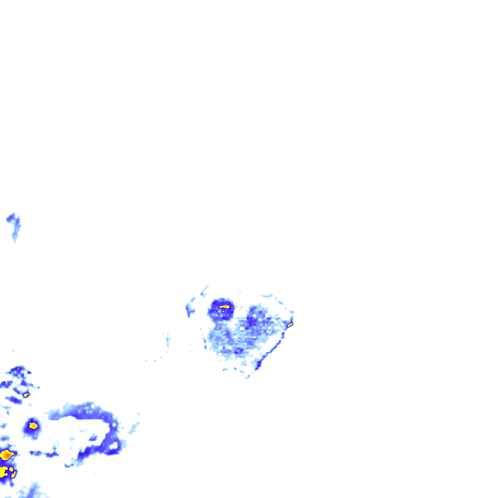 rainLayer