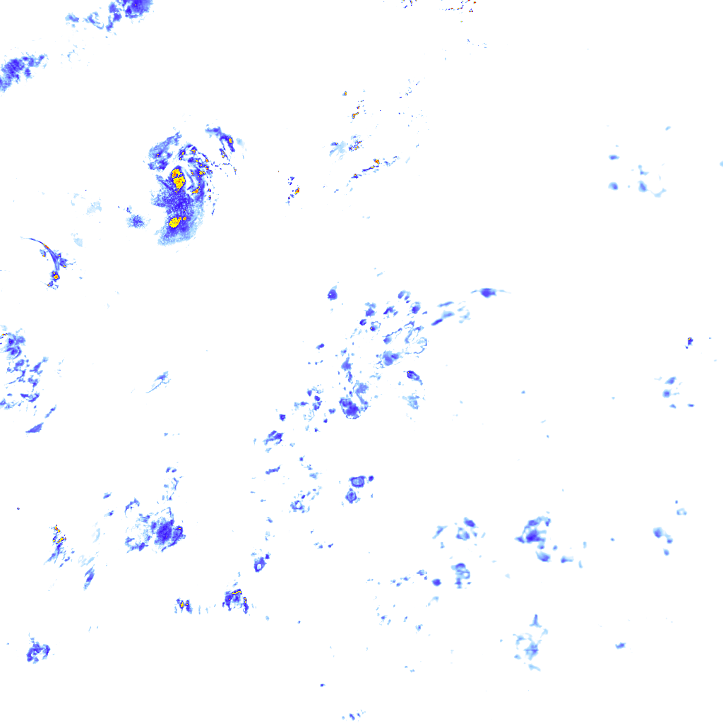 rainLayer