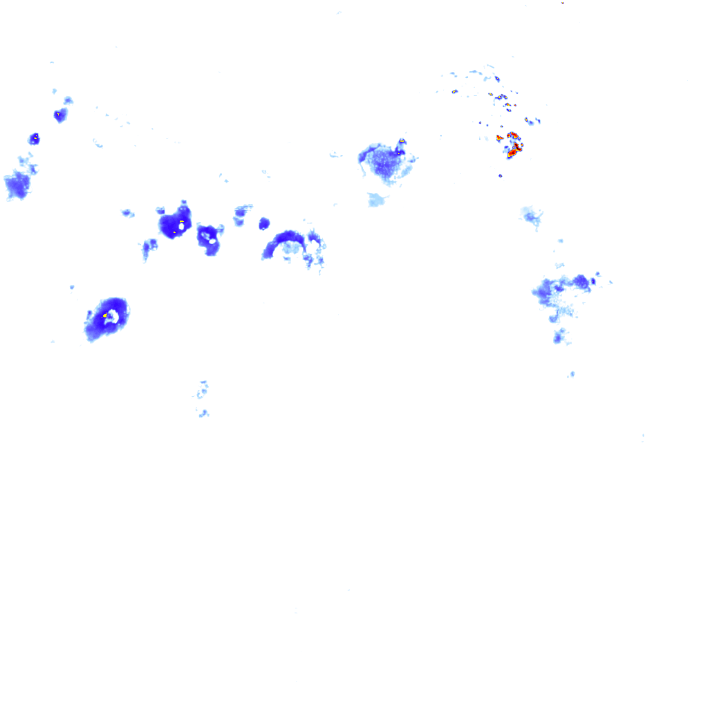 rainLayer