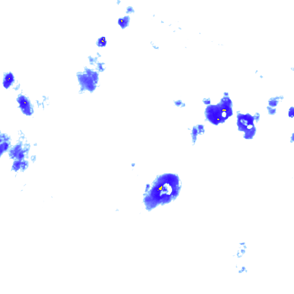 rainLayer