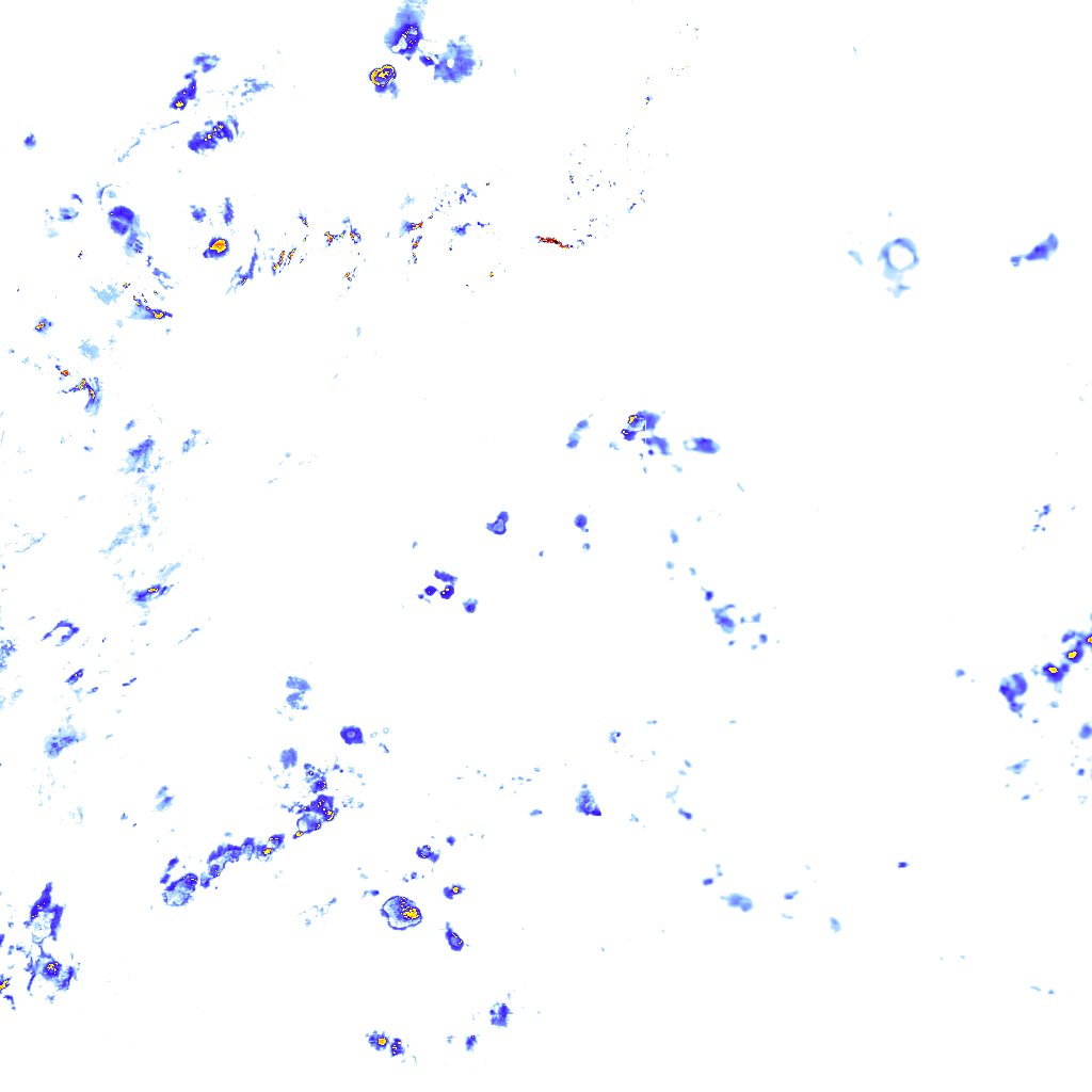 rainLayer