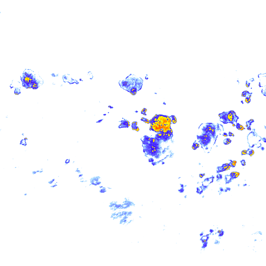 rainLayer