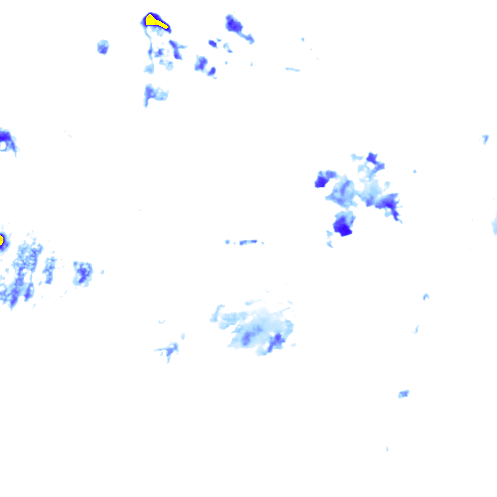 rainLayer