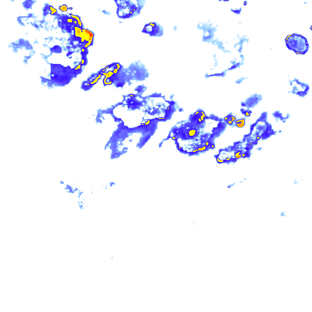 rainLayer