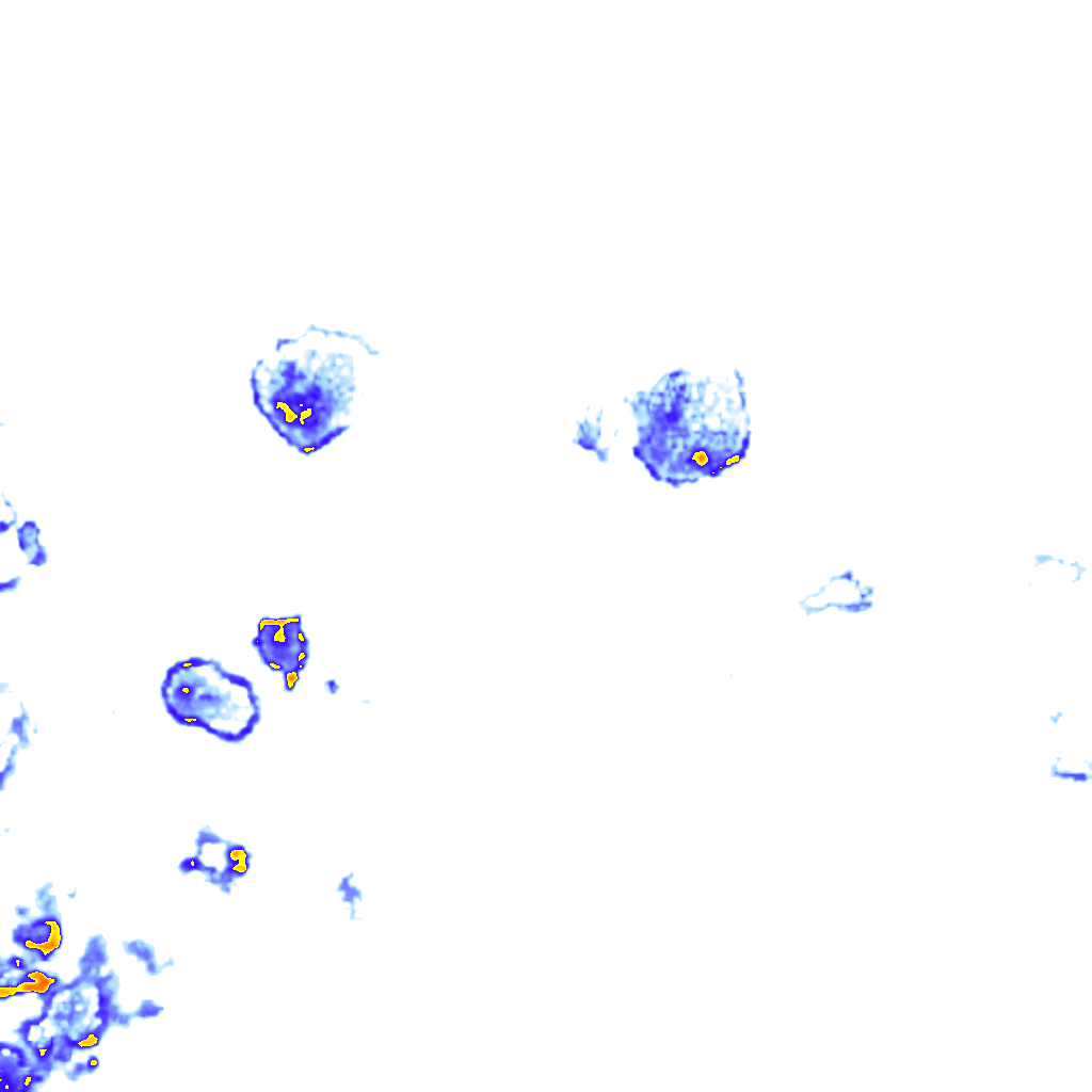 Image Layer
