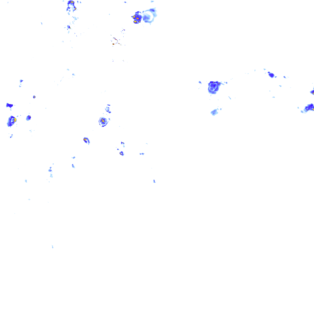 rainLayer