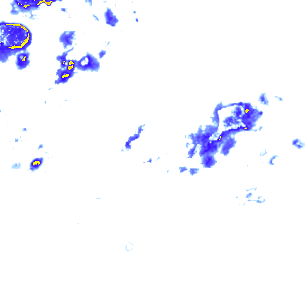 rainLayer