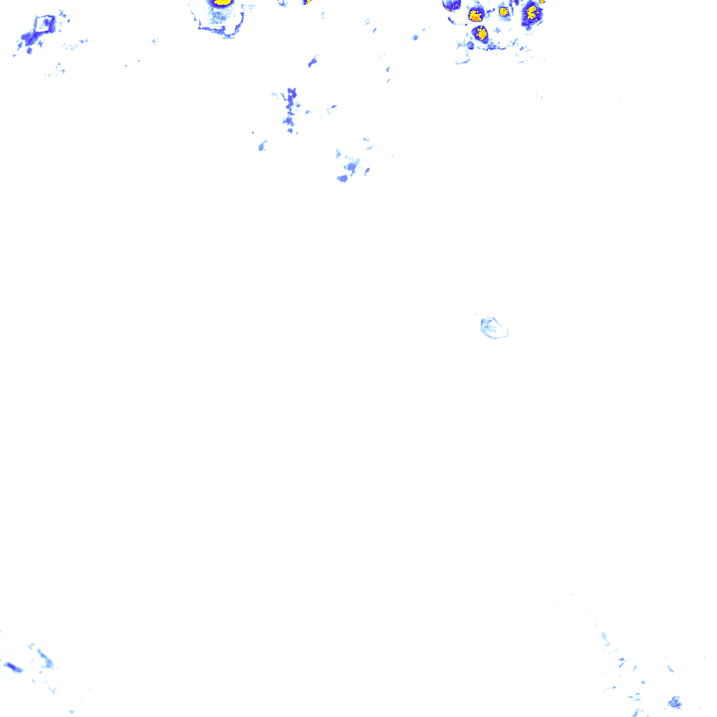 rainLayer