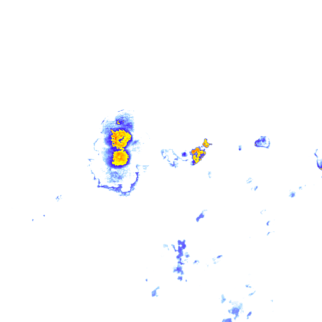 rainLayer