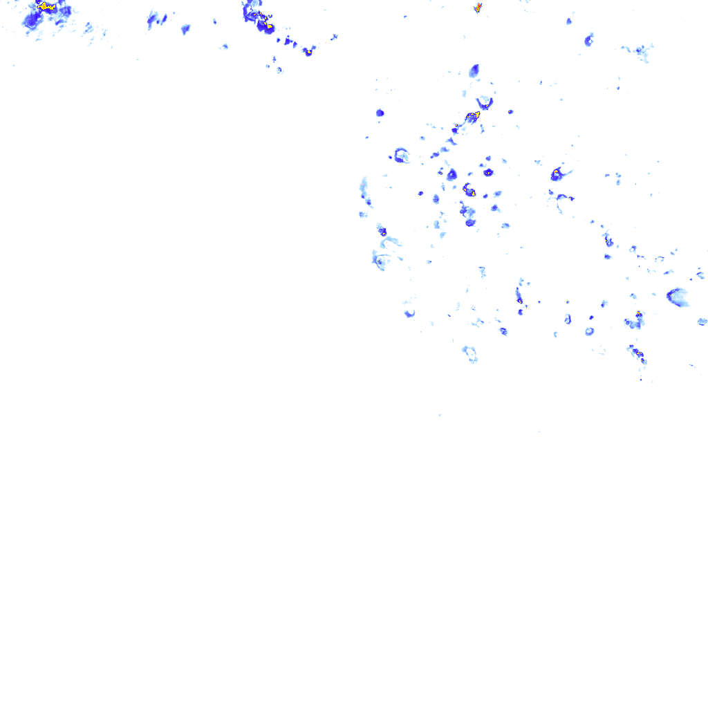 rainLayer