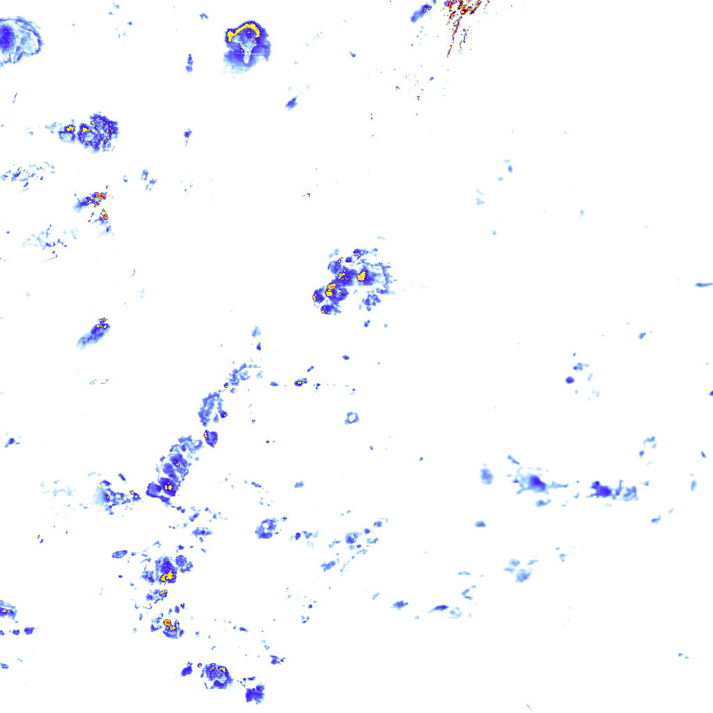 rainLayer