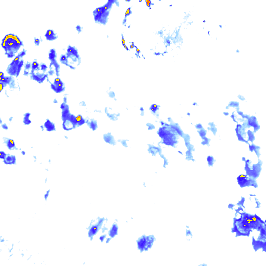 rainLayer